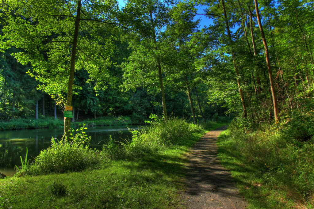 Канікули