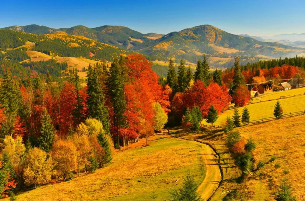 Блукає осінь